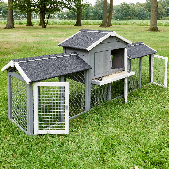 zooprinz Hasenstall Don Camilo